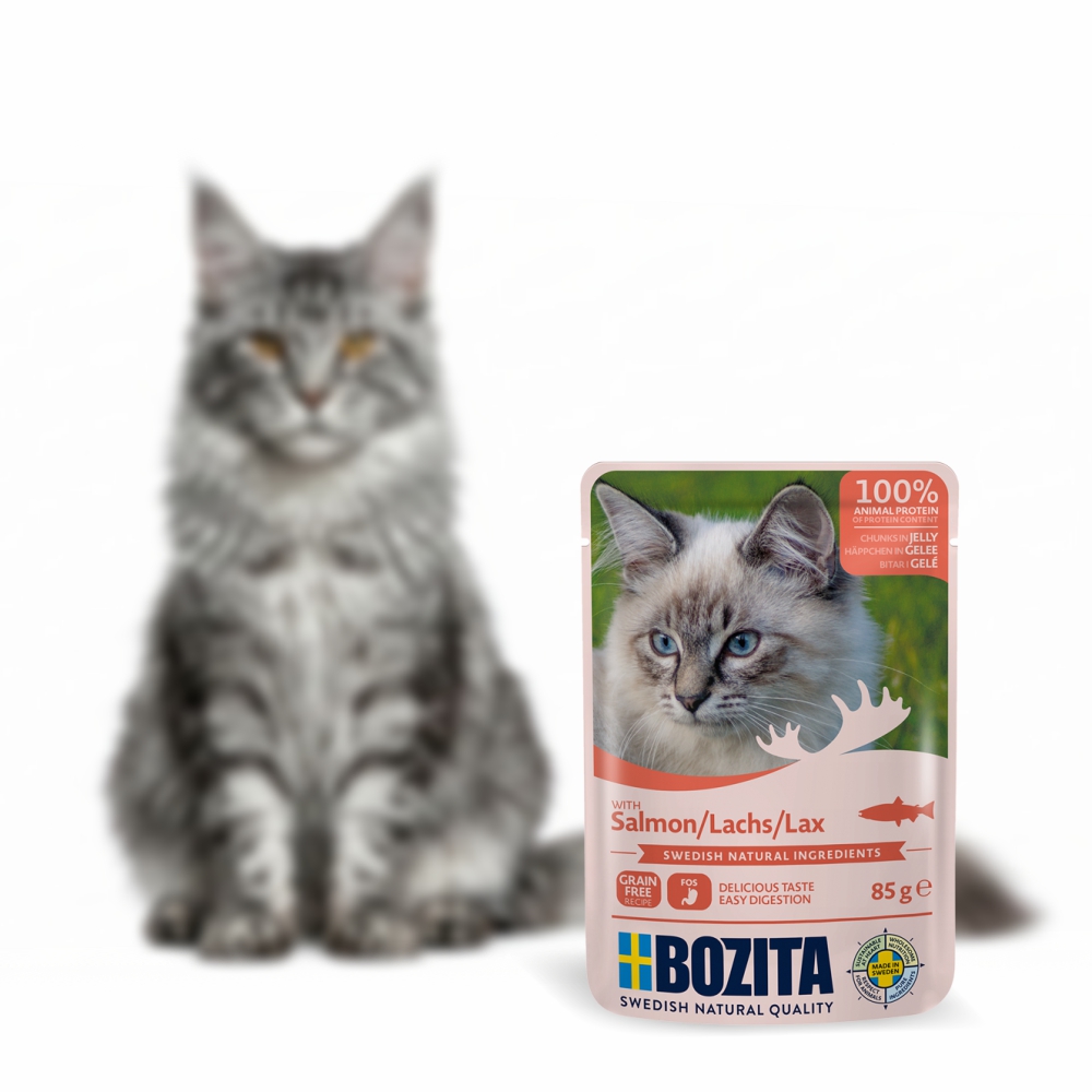 BOZITA karma dla kota w galarecie z łososiem 85g